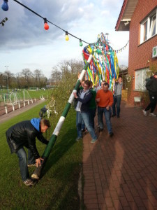 Viele Hände waren nötig um den bunt geschmückten Maibaum aufzustellen.